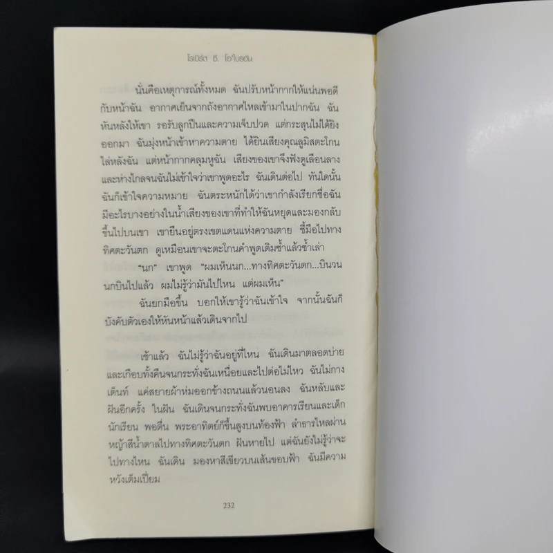 สูญมนุษย์วันสิ้นโลก (Z for Zachariah) - โรเบิร์ต ซี. โอ'ไบรอัน รูปที่ 10