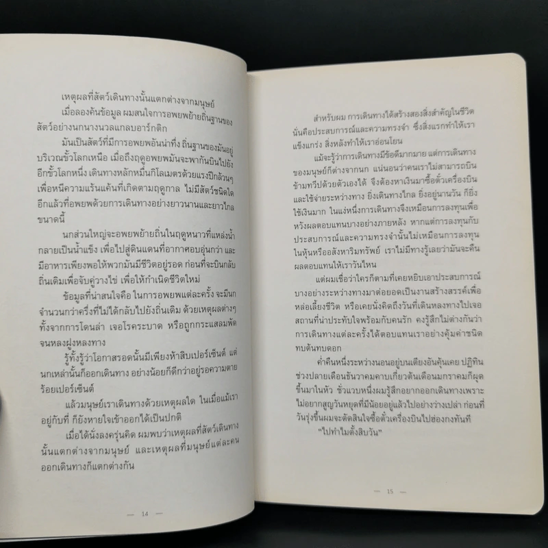Lonely Land ดินแดนเดียวดาย - Jirabell รูปที่ 9