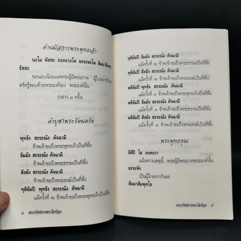 พระปริตต์จากพระไตรปิฎก - ยุพา อร่ามกุล รูปที่ 10