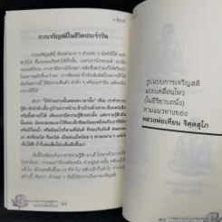 รู้ทุกข์ รู้ธรรม - หลวงพ่อเทียน รูปที่ 10