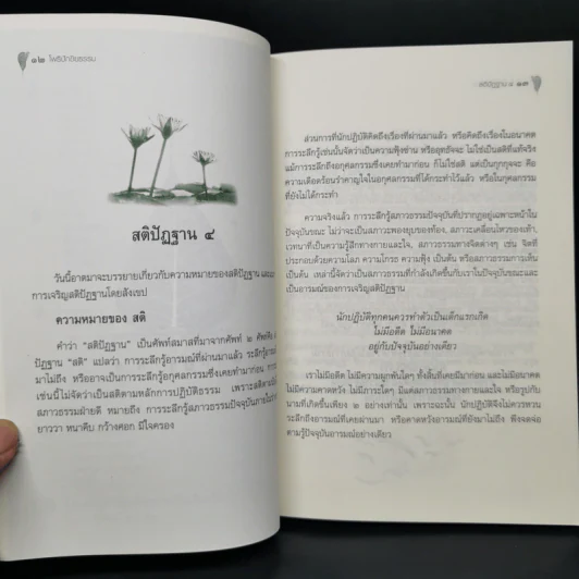โพธิปักขิยธรรม - พระคันธสาราภิวงศ์ รูปที่ 12