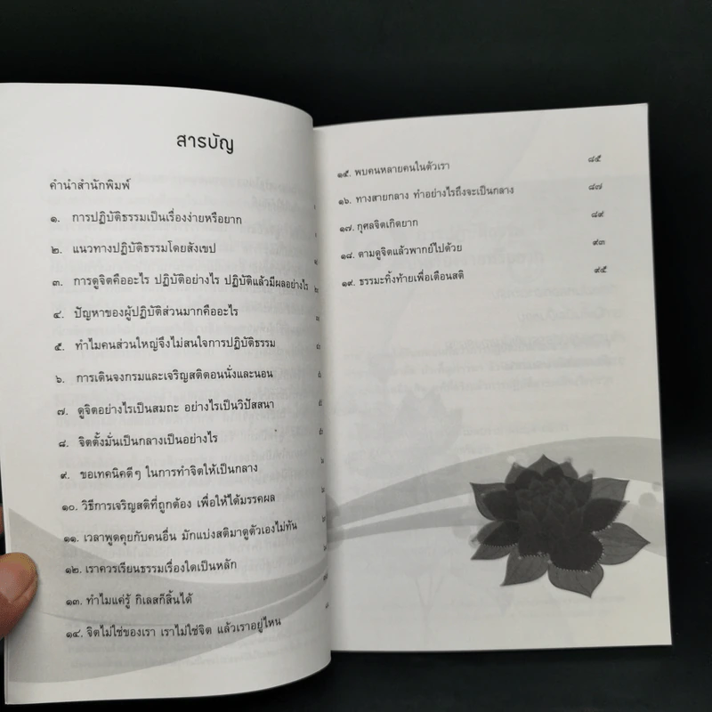 ดูจิตปีแรก - สันตินันท์ (หลวงพ่อปราโมทย์ ปาโมชโช) รูปที่ 9