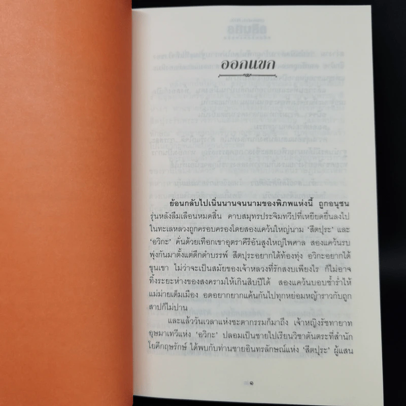 อรินทร หนี้รักสองแผ่นดิน 2 เล่มจบ - Foxilla รูปที่ 9