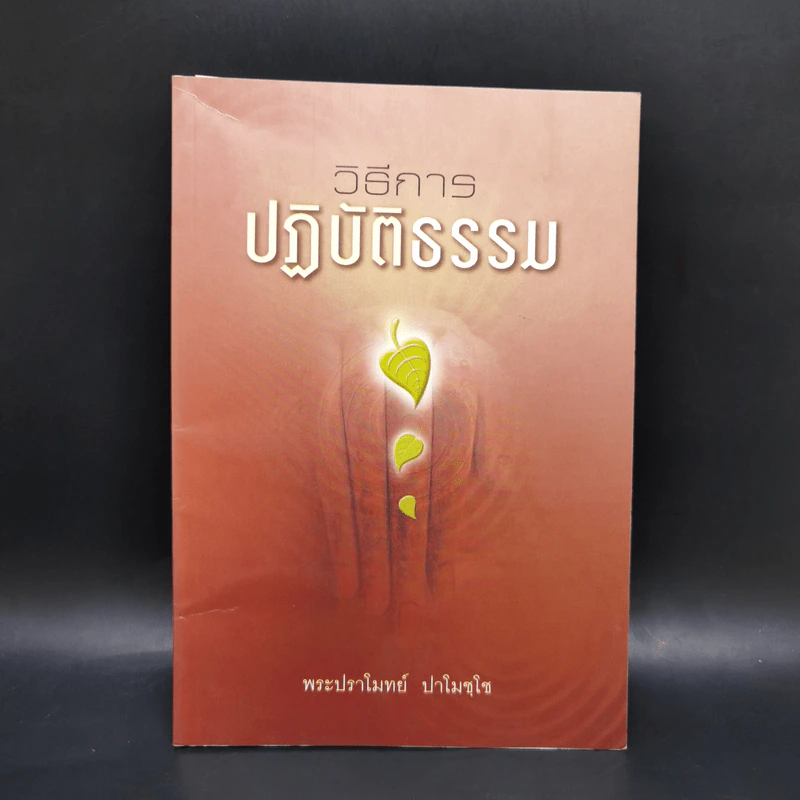 วิธีการปฏิบัติธรรม - พระปราโมทย์ ปาโมชโช รูปที่ 1