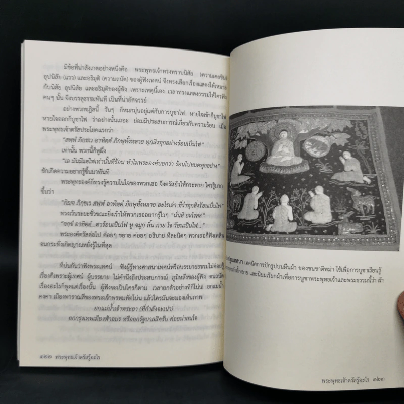 พระพุทธเจ้าตรัสรู้อะไร - หอจดหมายเหตุพระทาส อินทปัญโญ รูปที่ 11