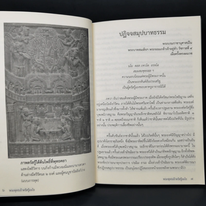 พระพุทธเจ้าตรัสรู้อะไร - หอจดหมายเหตุพระทาส อินทปัญโญ รูปที่ 10