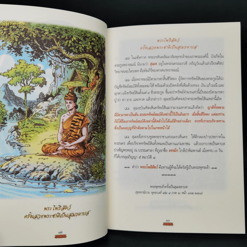 ภาพเล่าพระพุทธประวัติ - สุรีย์ มีผลกิจ รูปที่ 11