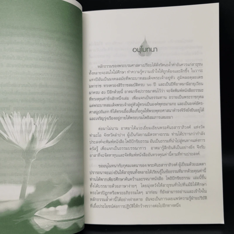 โพธิปักขิยธรรม - พระคันธสาราภิวงศ์ รูปที่ 9