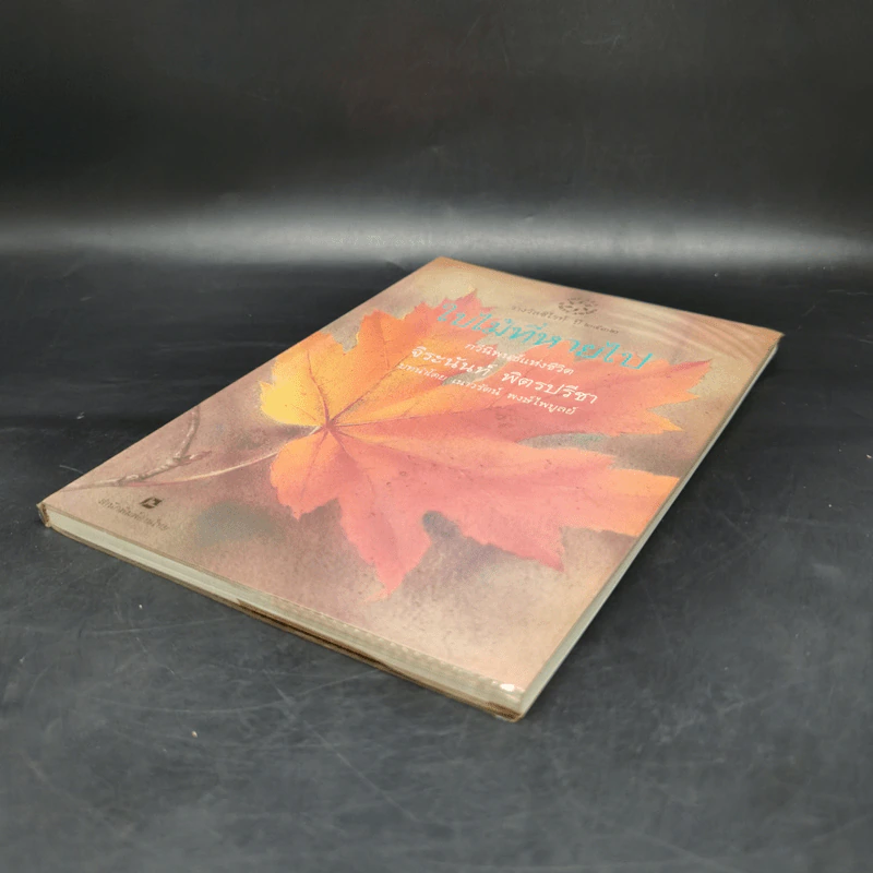 ใบไม้ที่หายไป - จิระนันท์ พิตรปรีชา รูปที่ 7