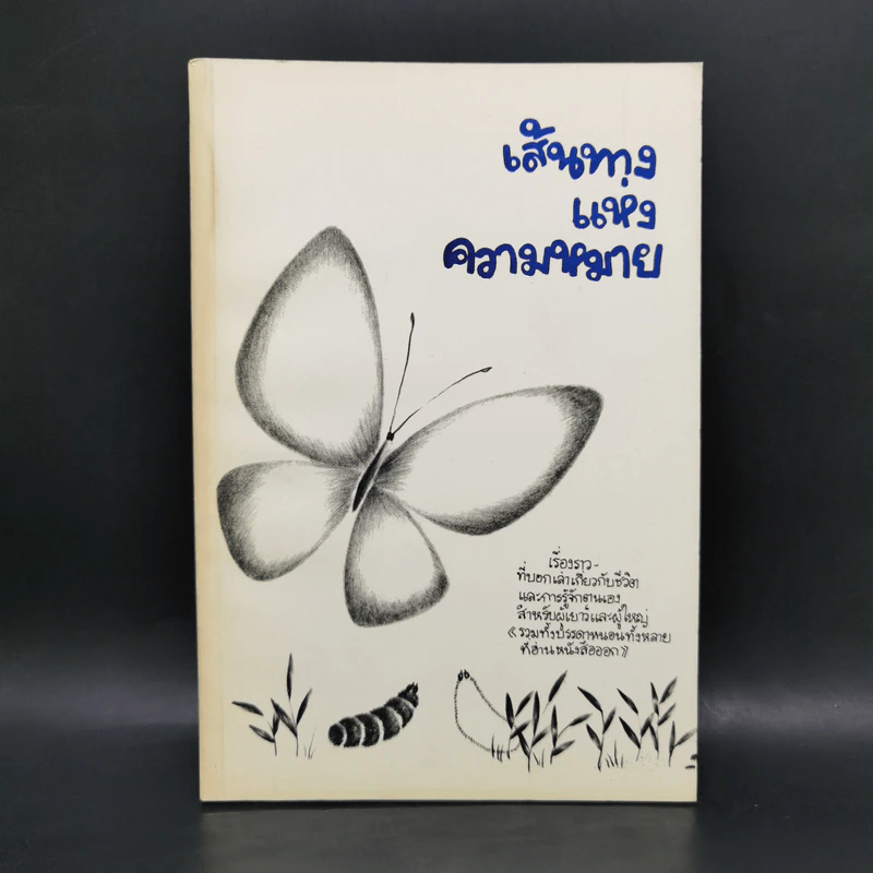 เส้นทางแห่งความหมาย - ปิยะลักษณ์ ภมรสิงห์ รูปที่ 1