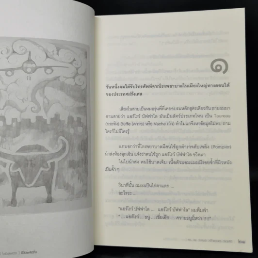 ชีวิตพลัดถิ่น - ดร.นพ.วัชรพล อเล็กซองดร์ กำเนิดศิริ รูปที่ 9
