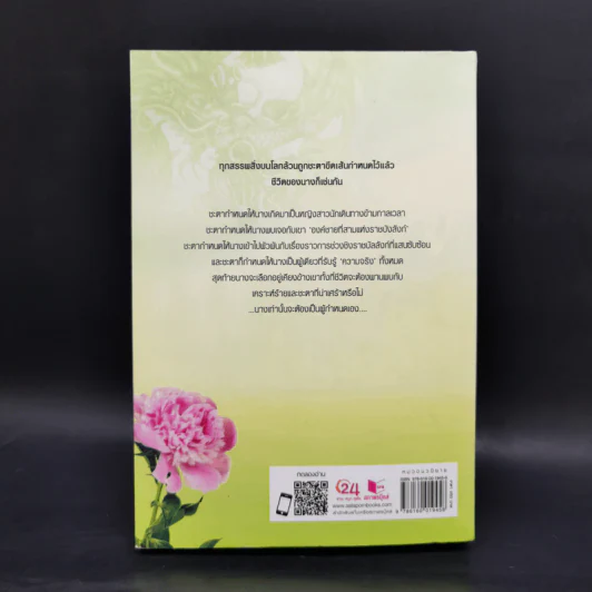 ลำนำจอมนาง - นาย่า รูปที่ 2