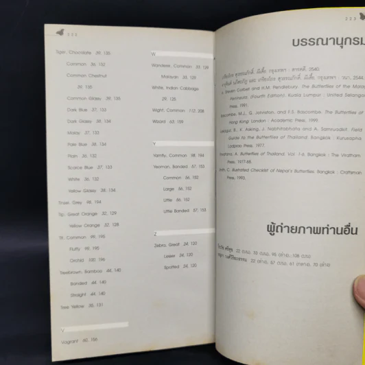 คู่มือผีเสื้อ - เกรียงไกร สุวรรณภักดิ์ รูปที่ 13
