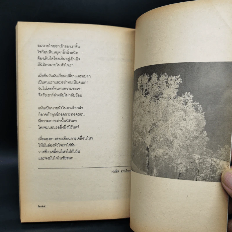 เรียงร้อยถ้อยคำ - เนาวรัตน์ พงษ์ไพบูลย์, วาณิช จรุงกิจอนันต์ รูปที่ 9