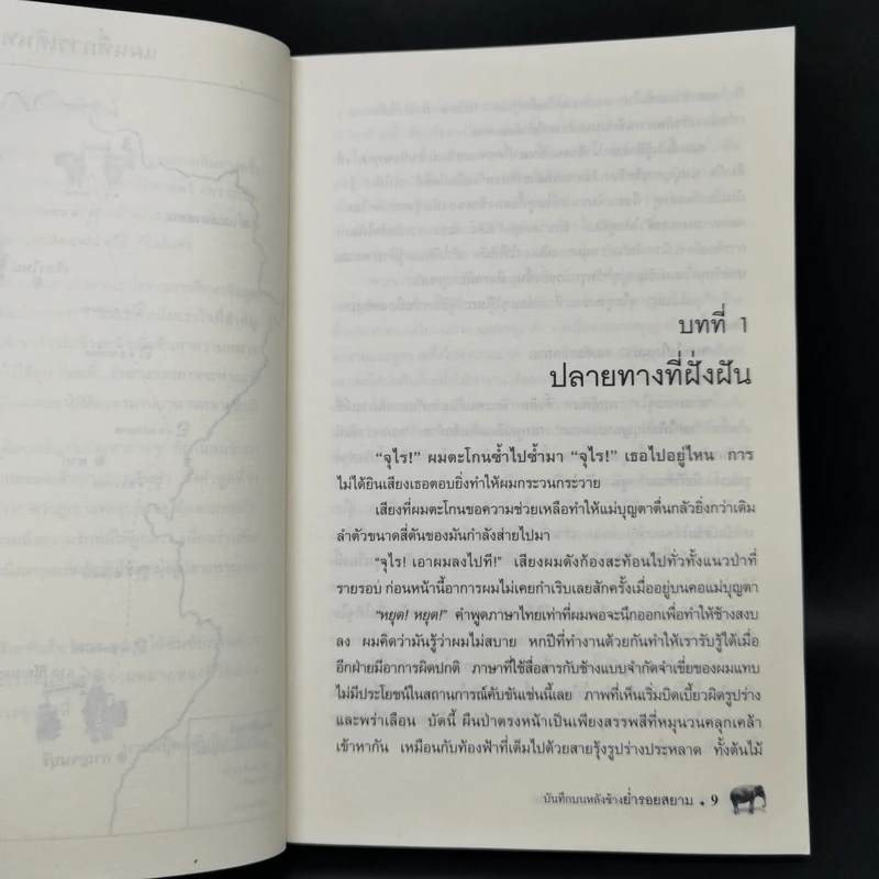 บันทึกบนหลังช้าง ย่ำรอยสยาม - Ian Balchin รูปที่ 10