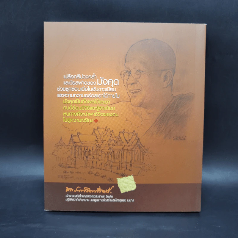 หิมะในจานดิน - พระราชรัตนรังษี (วีรยุทธ์ วีรยุทโธ) รูปที่ 2