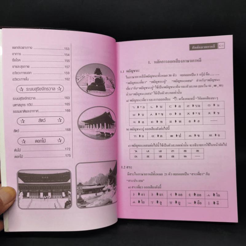 ศัพท์หมวดไทย-เกาหลี - กาญจนา ประสบเนตร รูปที่ 10