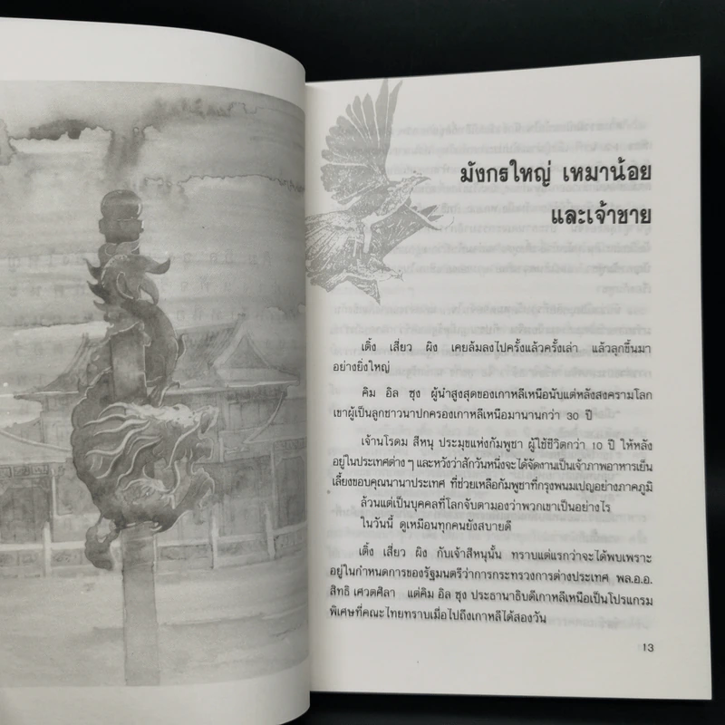 บินตามตะวัน - นิรมล เมธีสุวกุล รูปที่ 10