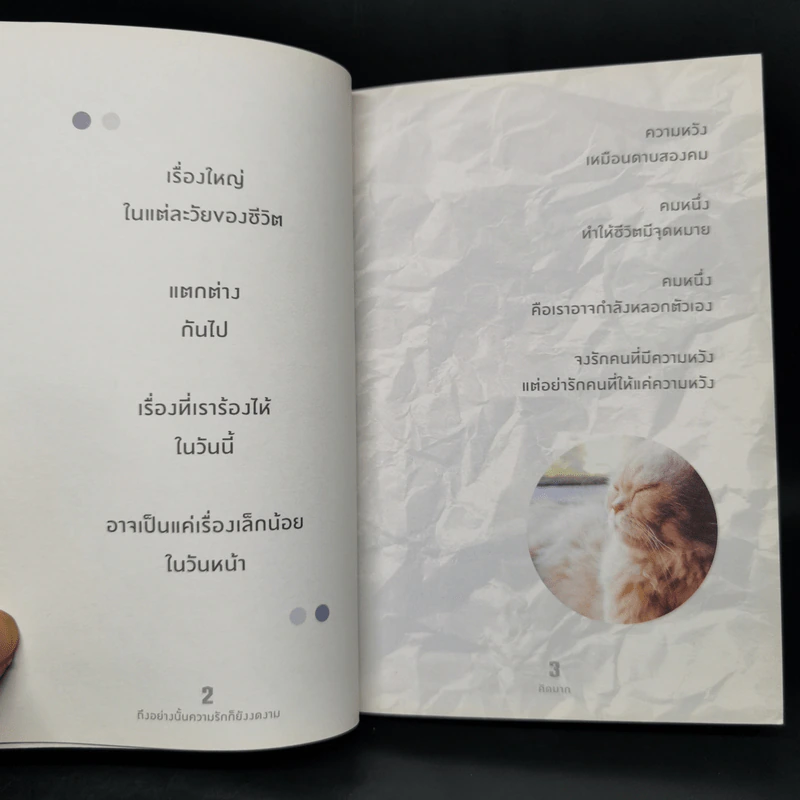 ถึงอย่างนั้นความรักก็ยังงดงาม - คิดมาก รูปที่ 10