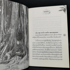 กรณียเมตตสูตร - ธีรปัญโญ รูปที่ 9