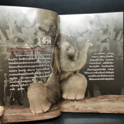 สารานุกรมไทยสำหรับเยาวชน ฉบับเสริมการเรียนรู้ เล่ม 12 รูปที่ 10