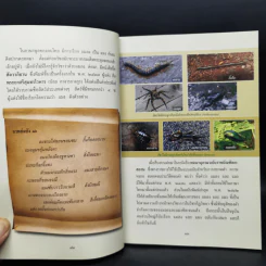 สารานุกรมไทยสำหรับเยาวชน ฉบับเสริมการเรียนรู้ เล่ม 17 รูปที่ 12