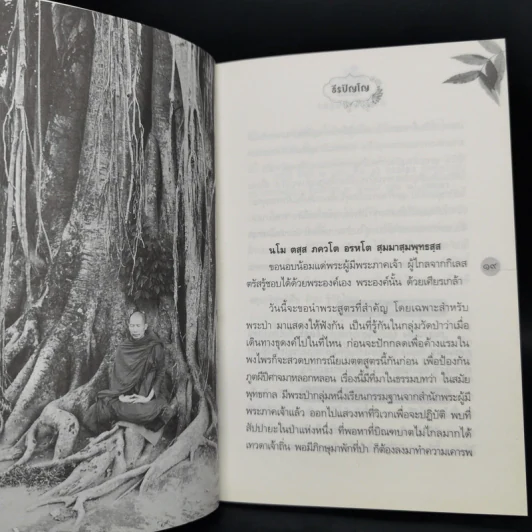 กรณียเมตตสูตร - ธีรปัญโญ รูปที่ 9