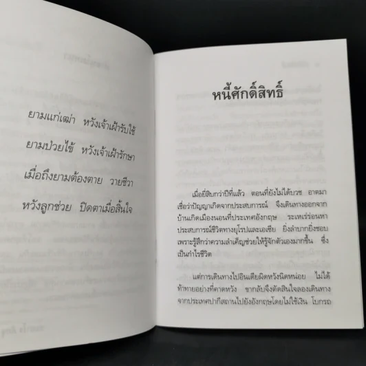 หนี้ศักดิ์สิทธิ์ - ชยสาโรภิกขุ รูปที่ 9