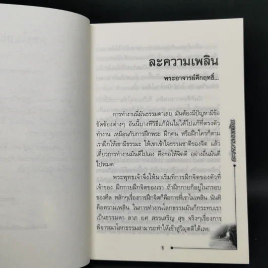 พุทธโฆษณ์ วัดนาป่าพง ก.พ.2550 รูปที่ 9