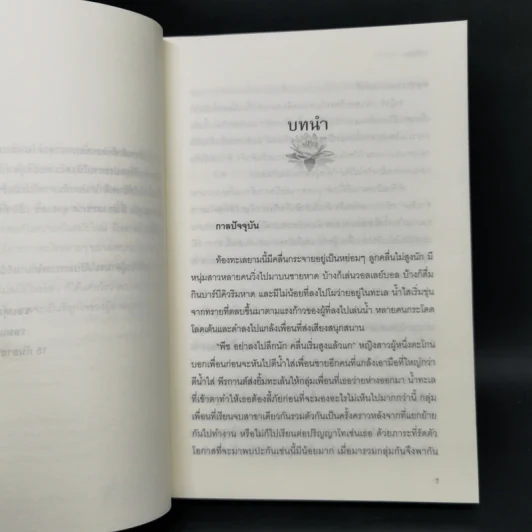 มณีรัตนะ - รอมแพง รูปที่ 9