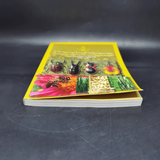 สารานุกรมไทยสำหรับเยาวชน ฉบับเสริมการเรียนรู้ เล่ม 17 รูปที่ 4