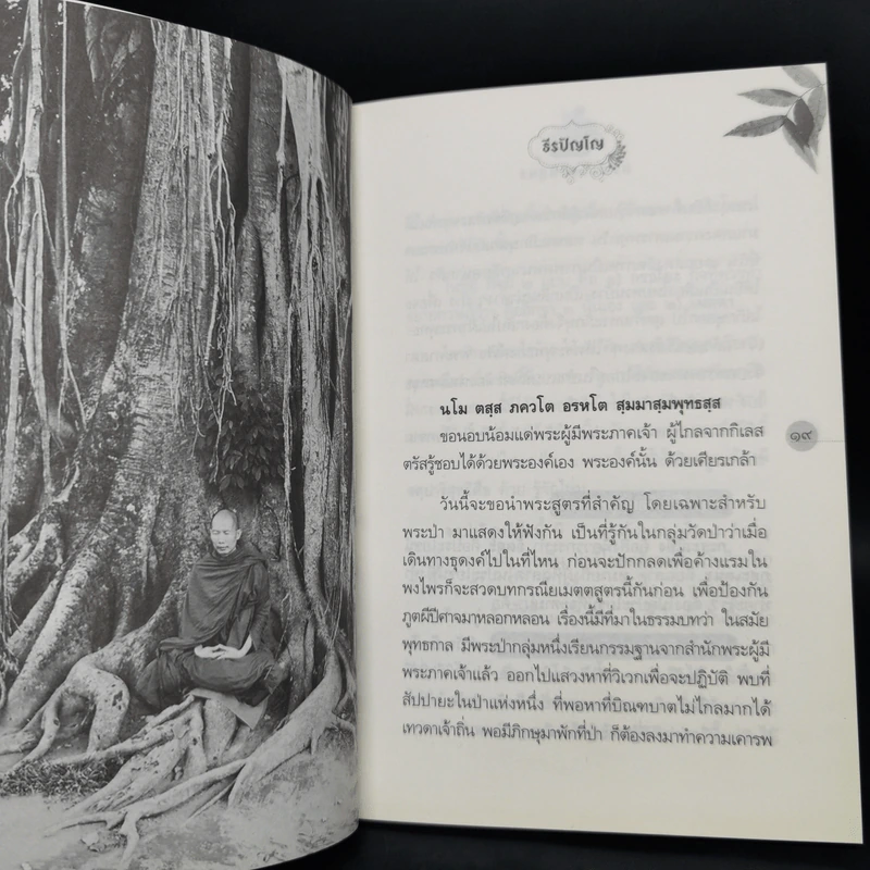 กรณียเมตตสูตร - ธีรปัญโญ รูปที่ 9