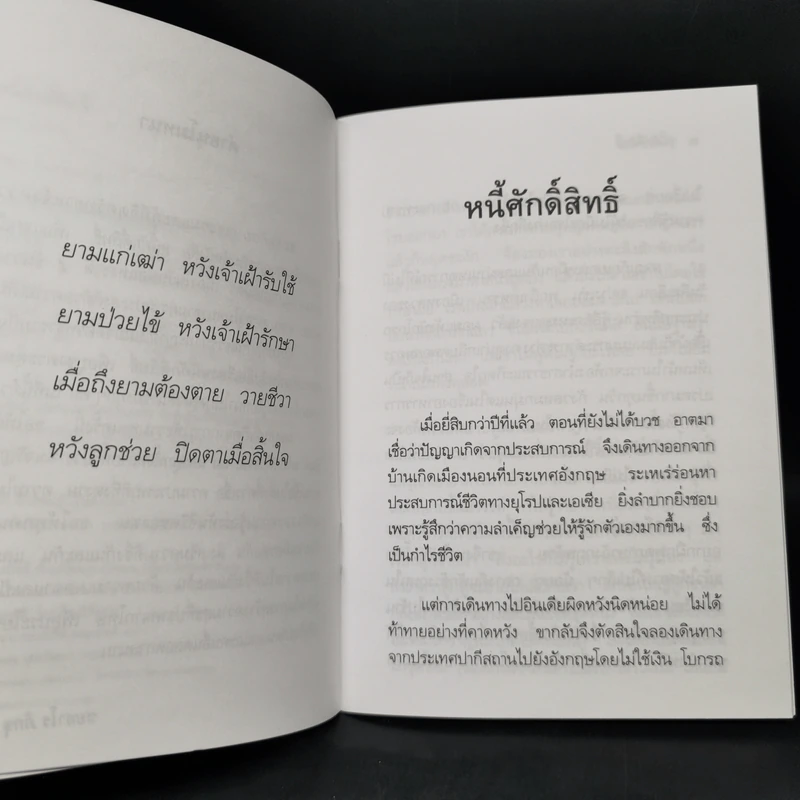 หนี้ศักดิ์สิทธิ์ - ชยสาโรภิกขุ รูปที่ 9