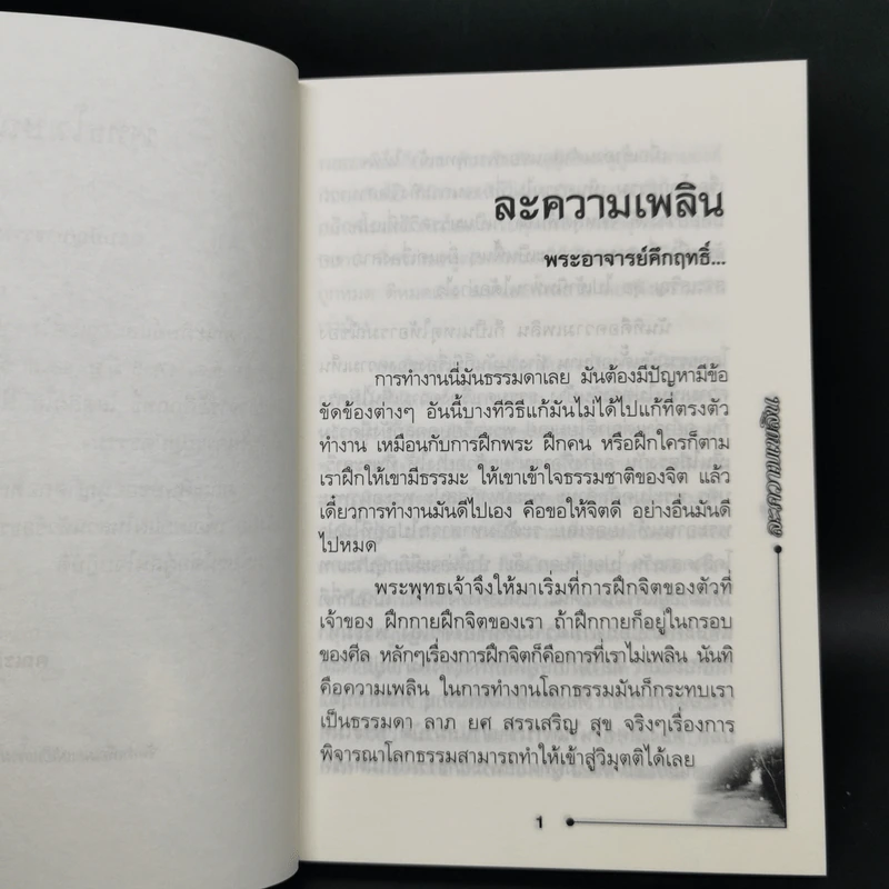 พุทธโฆษณ์ วัดนาป่าพง ก.พ.2550 รูปที่ 9