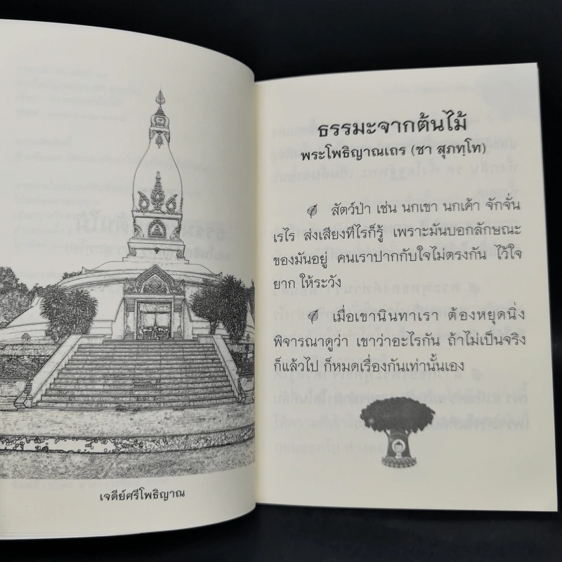 ธรรมะจากต้นไม้ - พระโพธิญาณเถร รูปที่ 8