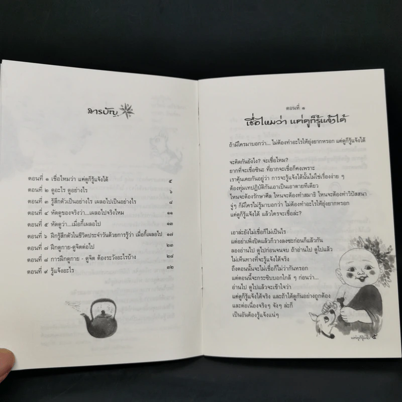 แค่ดูก็รู้แจ้ง - สุรวัฒน์ เสรีวิวัฒนา รูปที่ 8