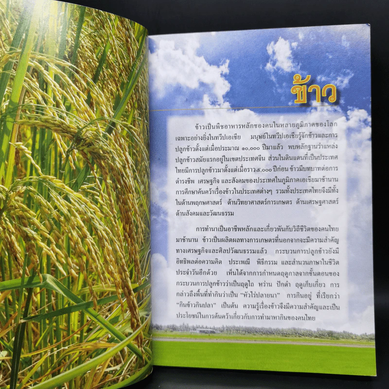 สารานุกรมไทยสำหรับเยาวชน ฉบับเสริมการเรียนรู้ เล่ม 16 รูปที่ 10