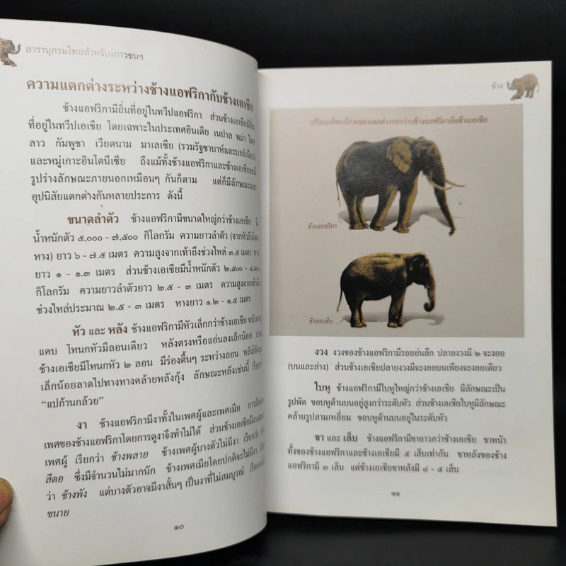 สารานุกรมไทยสำหรับเยาวชน ฉบับเสริมการเรียนรู้ เล่ม 12 รูปที่ 11