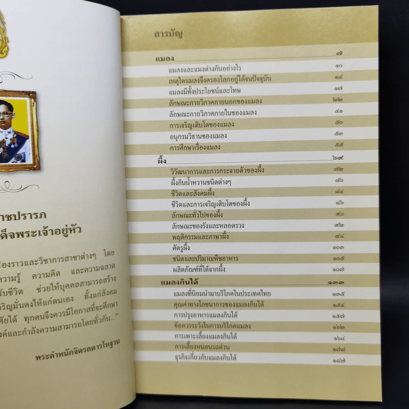 สารานุกรมไทยสำหรับเยาวชน ฉบับเสริมการเรียนรู้ เล่ม 17 รูปที่ 9