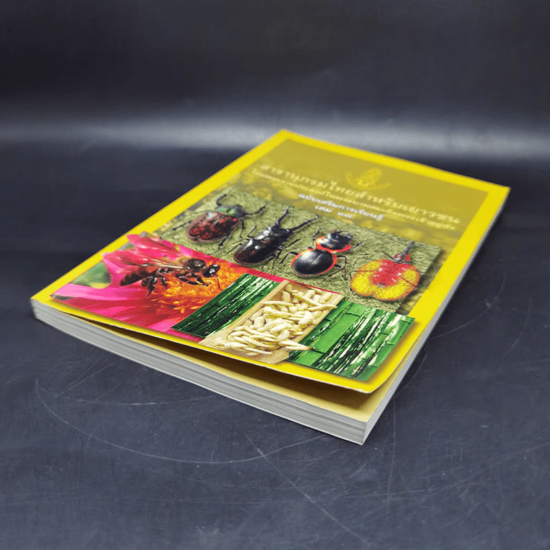 สารานุกรมไทยสำหรับเยาวชน ฉบับเสริมการเรียนรู้ เล่ม 17 รูปที่ 7