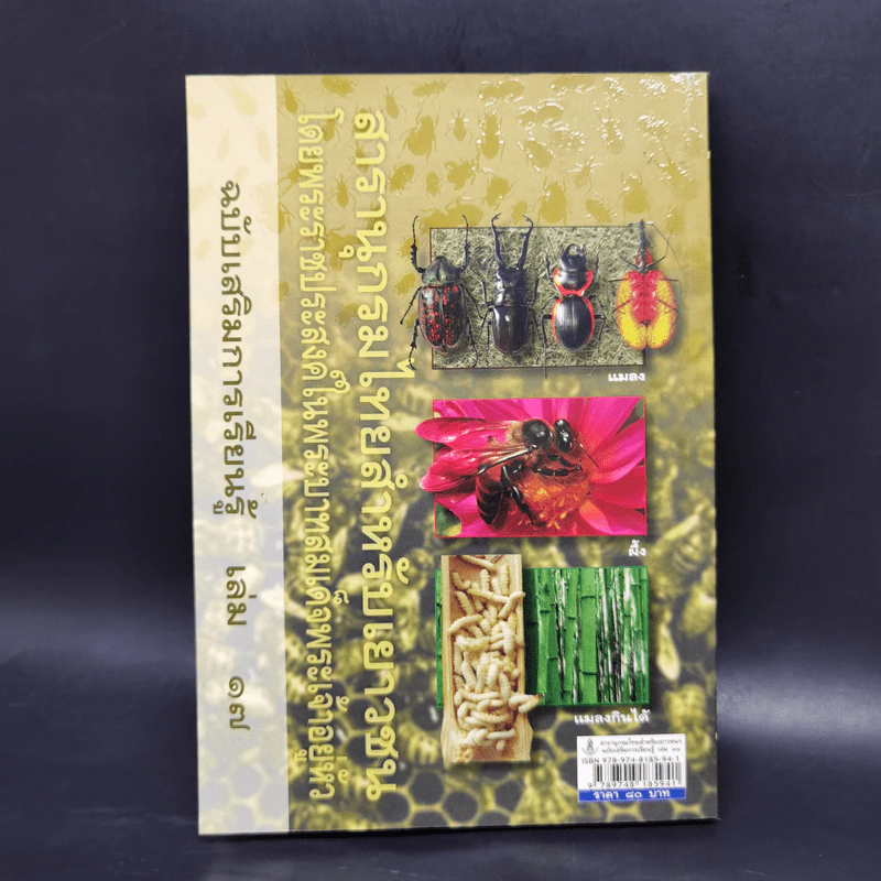 สารานุกรมไทยสำหรับเยาวชน ฉบับเสริมการเรียนรู้ เล่ม 17 รูปที่ 2