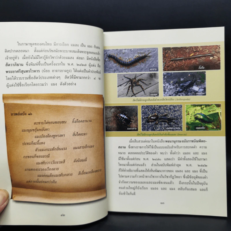 สารานุกรมไทยสำหรับเยาวชน ฉบับเสริมการเรียนรู้ เล่ม 17 รูปที่ 12