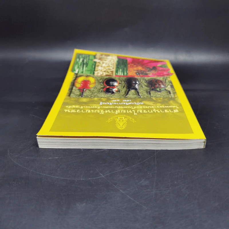 สารานุกรมไทยสำหรับเยาวชน ฉบับเสริมการเรียนรู้ เล่ม 17 รูปที่ 6