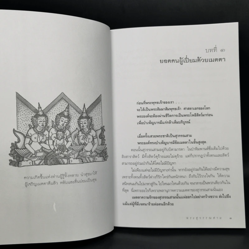 พระสุวรรณสาม ผู้บำเพ็ญเมตตาบารมีสูงสุด : ธรรมนิยาย : ธรรมสาระ จาก พระเจ้าสิบชาติ รูปที่ 10