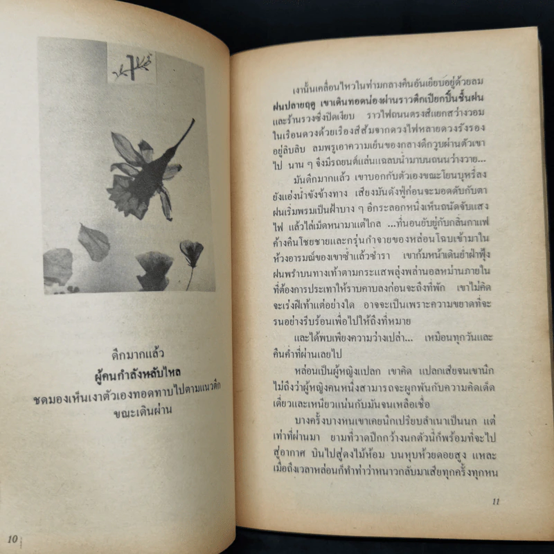 ลำเนาป่า - ศิเรมอร อุณหธูป รูปที่ 9