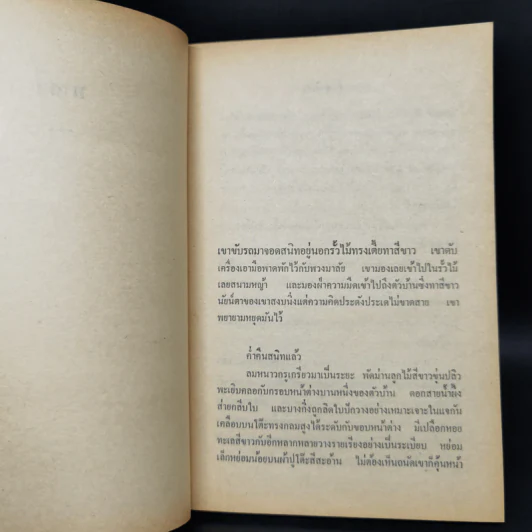 ผู้หญิงพิเศษ - ศิเรมอร อุณหธูป รูปที่ 11