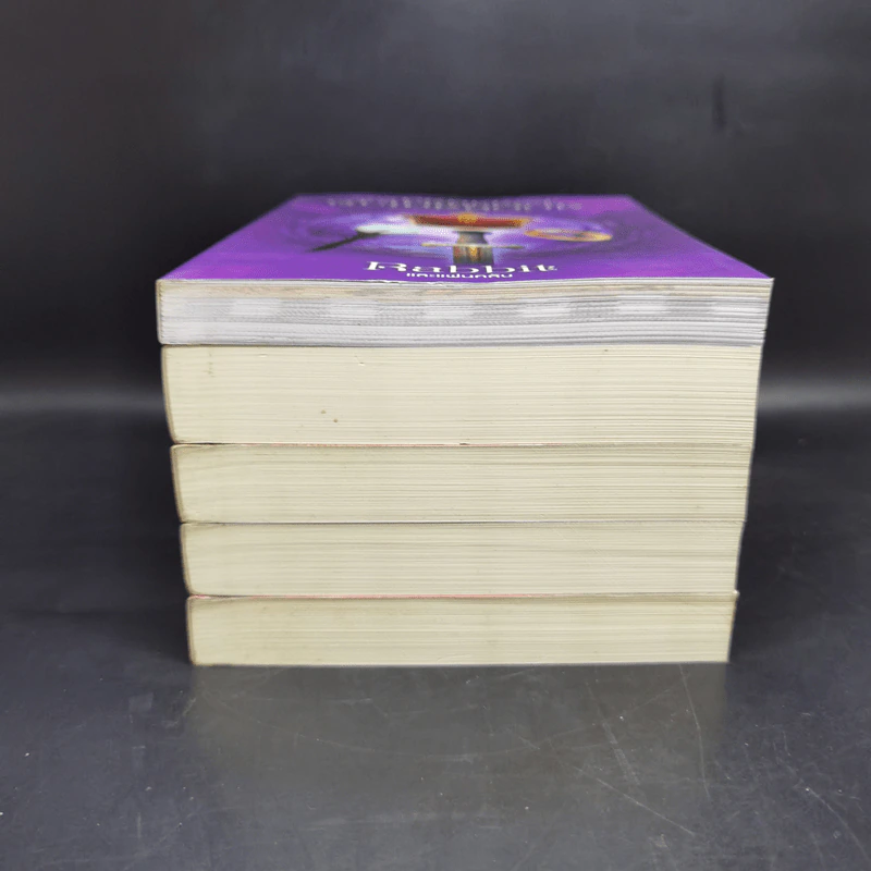 Boxset หัวขโมยแห่งบารามอส 4 เล่มจบ + The Perfect Guidebook - Rabbit รูปที่ 7