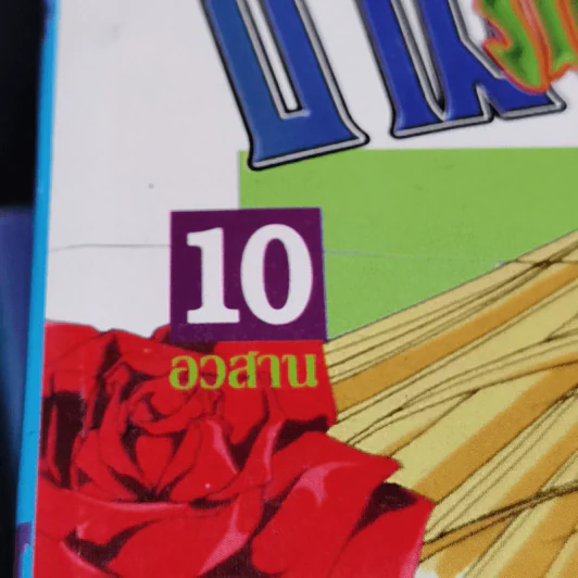 ข้ามภพมาพบรัก 10 เล่มจบ รูปที่ 7