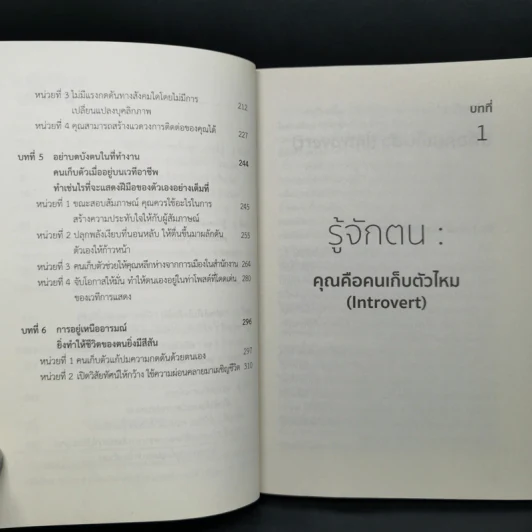 พลังเงียบ Introvert - ตู้จือเจี้ยน รูปที่ 8