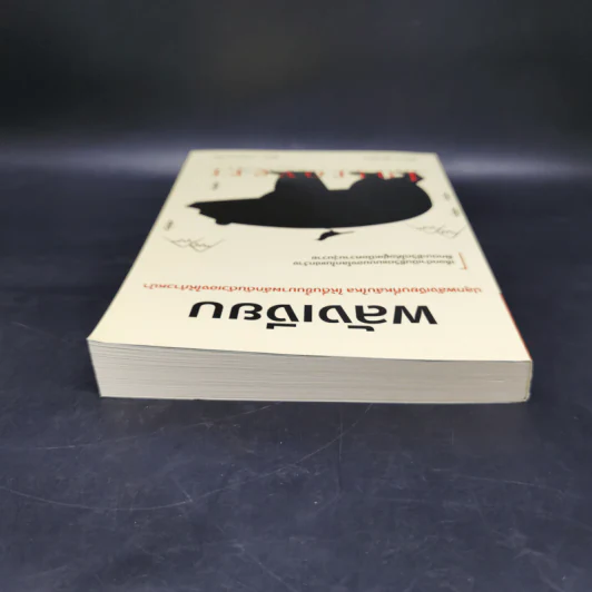 พลังเงียบ Introvert - ตู้จือเจี้ยน รูปที่ 5